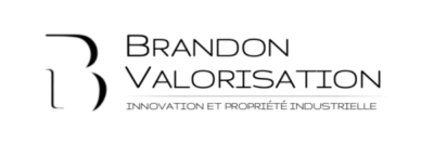 Logo Brandon Valorisation